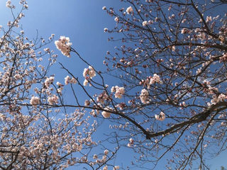 20190410_081009166_iOS.png
